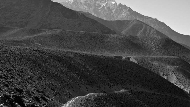 How To Report A 99Exch Payment Delay In Withdrawal?